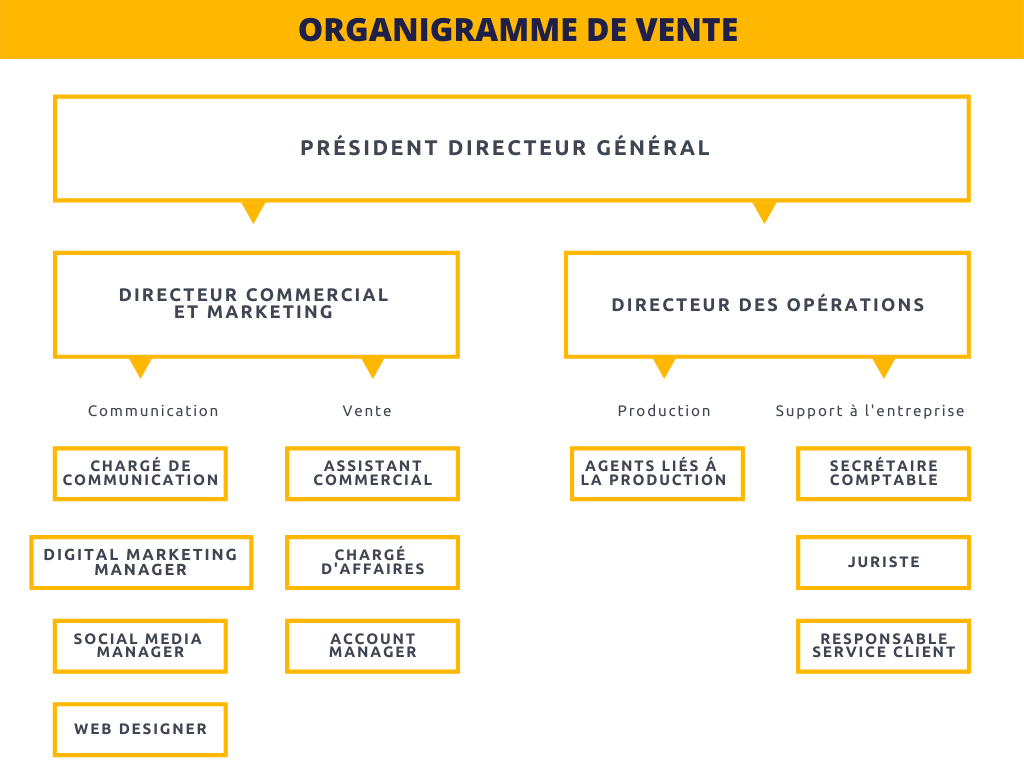 Organigramme Entreprise Commerciale